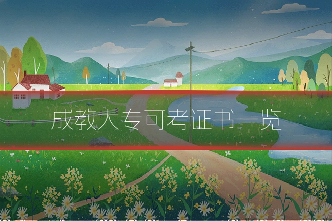 成教大专可考证书一览