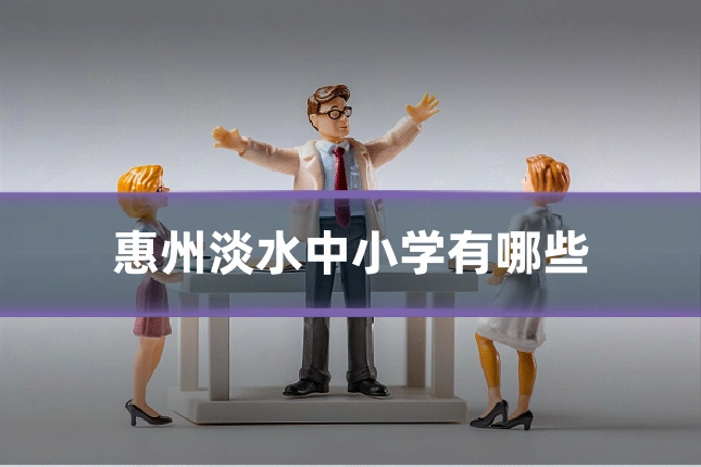 惠州淡水中小学有哪些