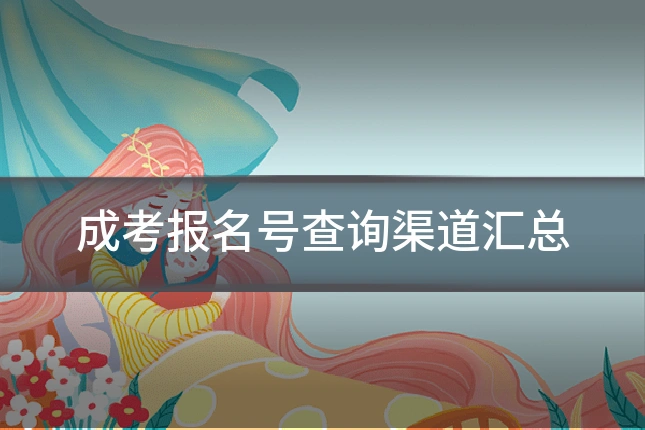 成考报名号查询渠道汇总
