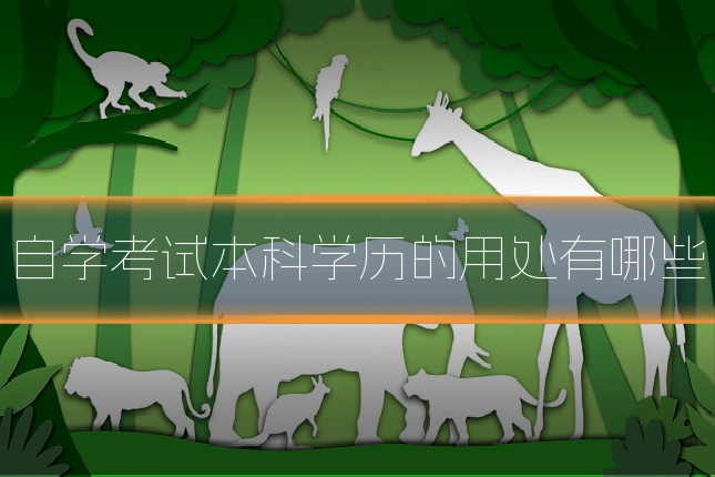 自学考试本科学历的用处有哪些