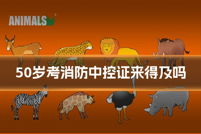50岁考消防中控证来得及吗
