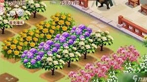 我的花园山茶花新手入门必看
