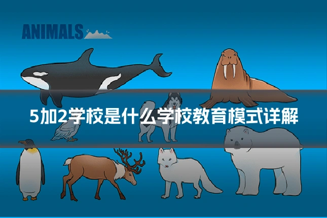 5加2学校是什么学校教育模式详解