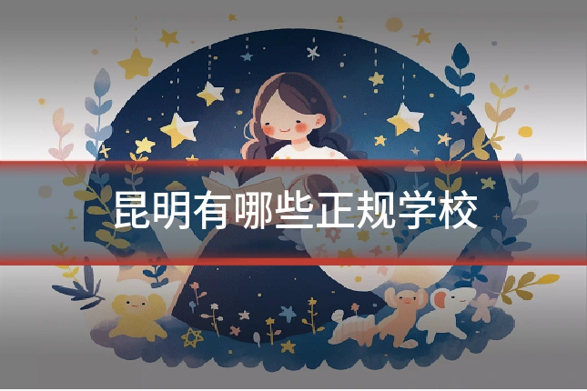 昆明有哪些正规学校