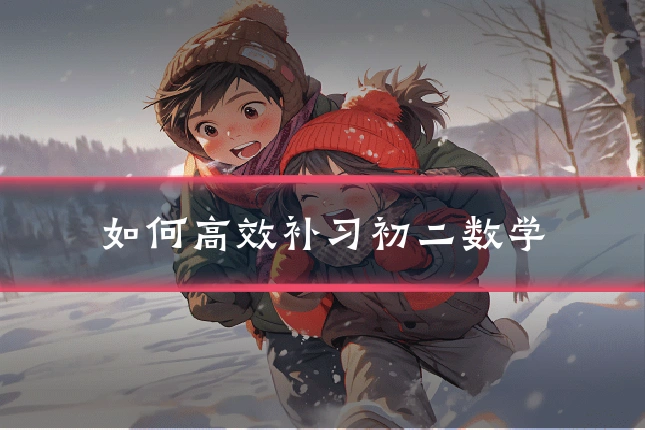 如何高效补习初二数学