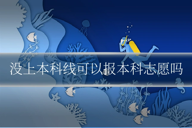 没上本科线可以报本科志愿吗