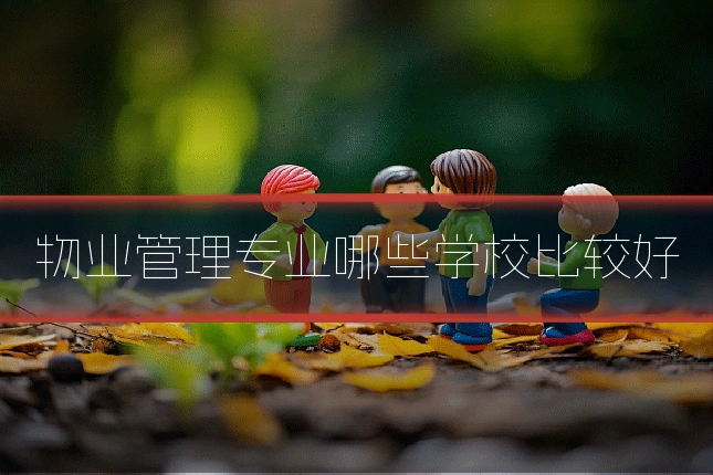 物业管理专业哪些学校比较好