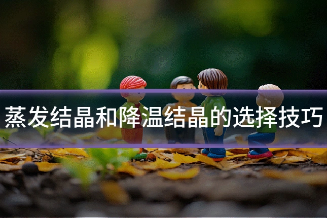 蒸发结晶和降温结晶的选择技巧