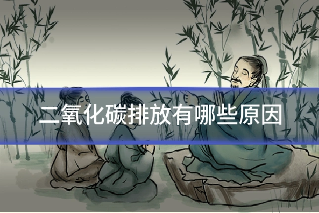 二氧化碳排放有哪些原因