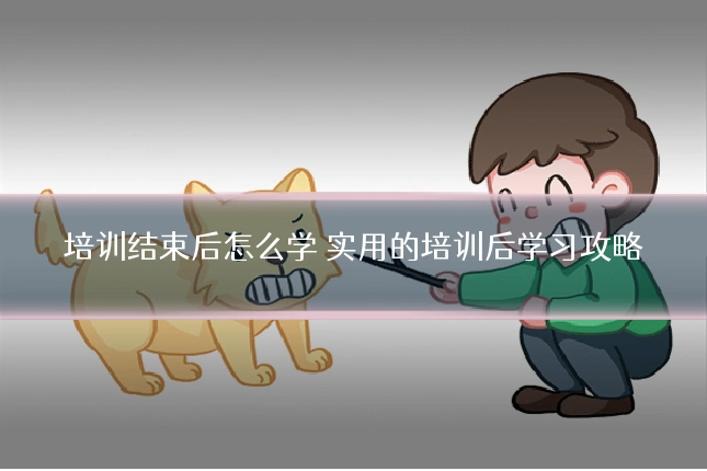 培训结束后怎么学 实用的培训后学习攻略