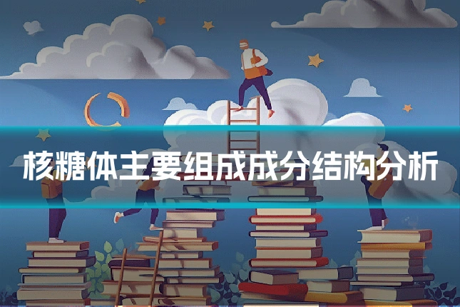 核糖体主要组成成分结构分析