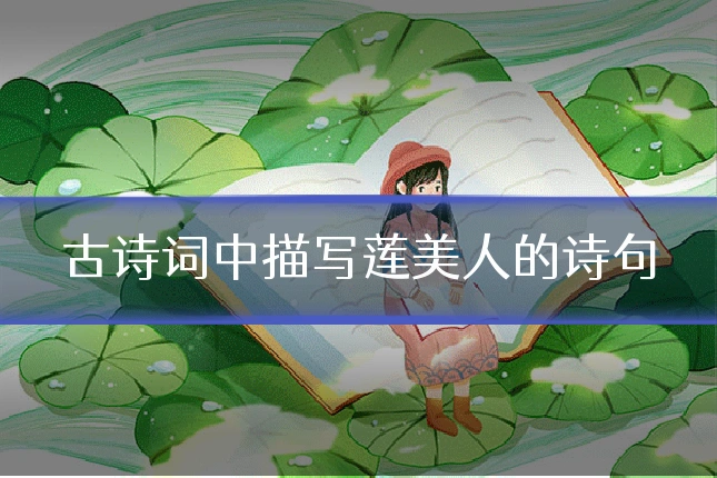 古诗词中描写莲美人的诗句