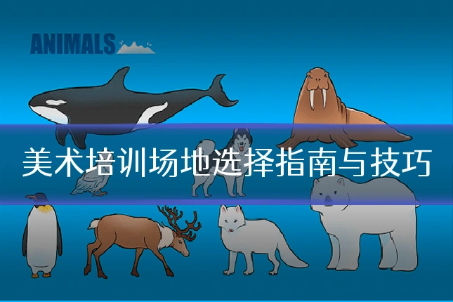 美术培训场地选择指南与技巧