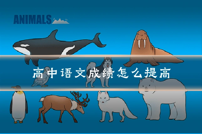 高中语文成绩怎么提高