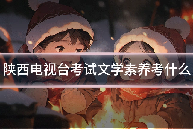 陕西电视台考试文学素养考什么