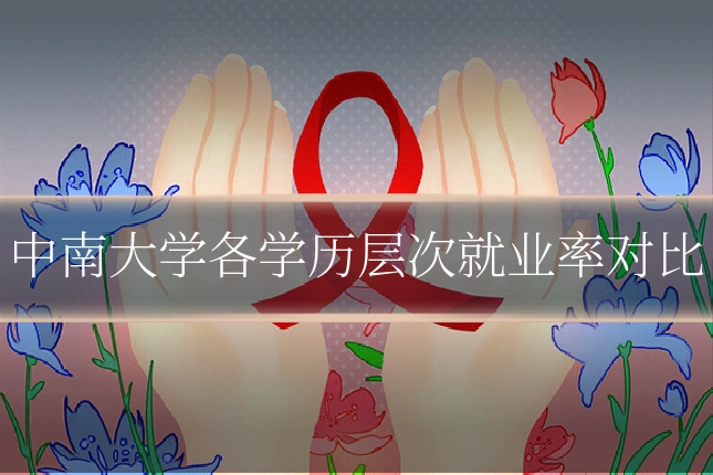 中南大学各学历层次就业率对比