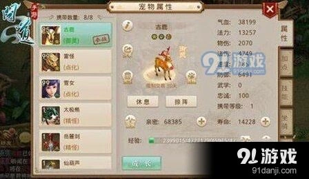 问道宠物顿悟流程技巧详解