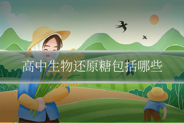 高中生物还原糖包括哪些