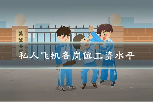 私人飞机各岗位工资水平