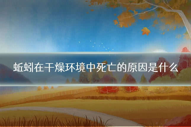 蚯蚓在干燥环境中死亡的原因是什么