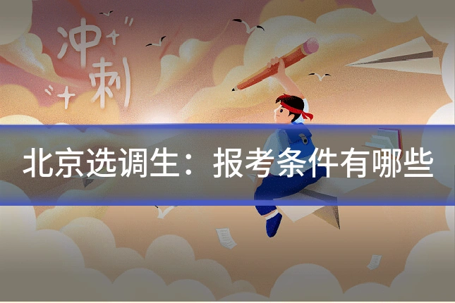 北京选调生:报考条件有哪些