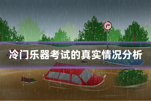 冷门乐器考试的真实情况分析