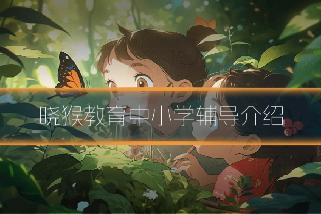 晓猴教育中小学辅导介绍