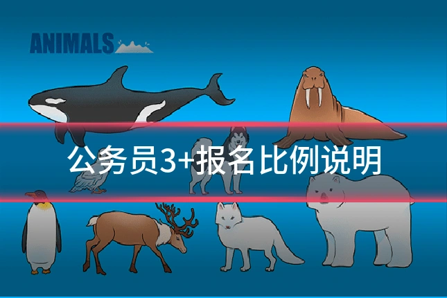 公务员3+报名比例说明