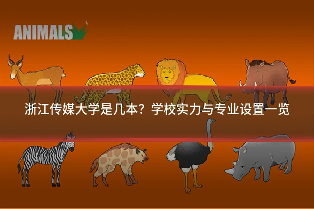 浙江传媒大学是几本?学校实力与专业设置一览