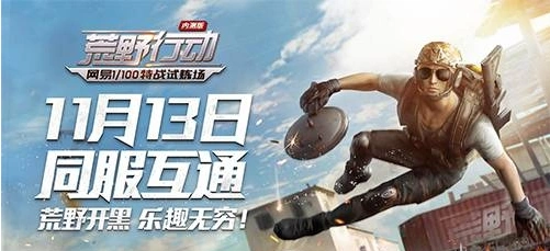 荒野行动LYB术语来源与历史背景解析