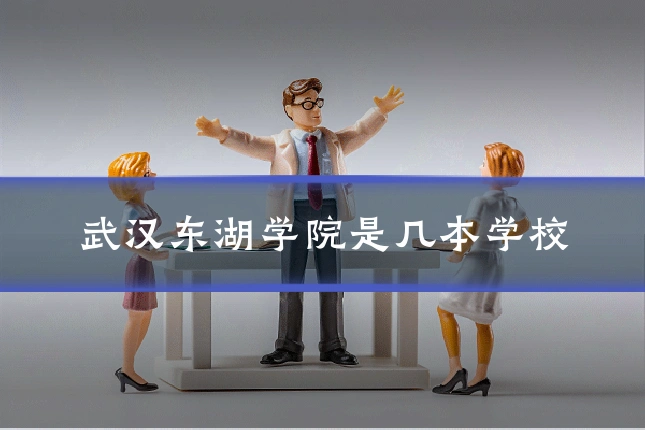 武汉东湖学院是几本学校