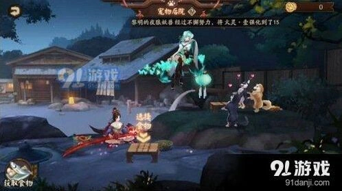 阴阳师宠物系统攻略 猫粮狗粮获取技巧