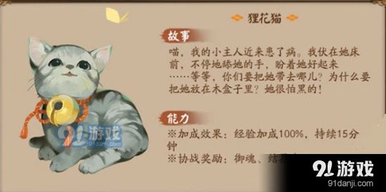 阴阳师狸花猫协战奖励有哪些