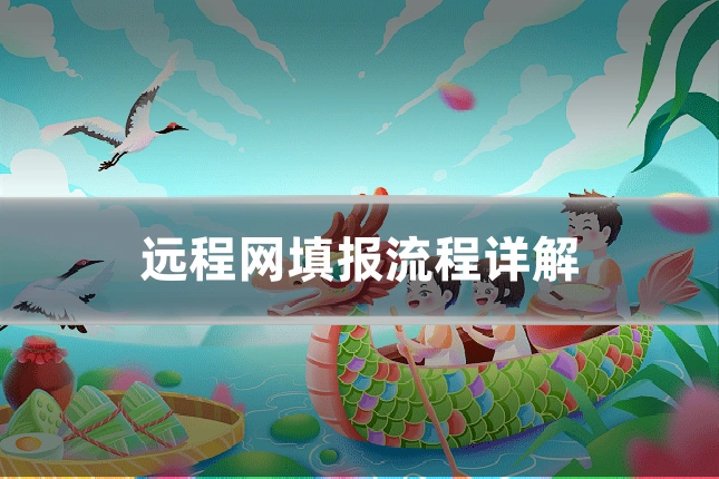 远程网填报流程详解