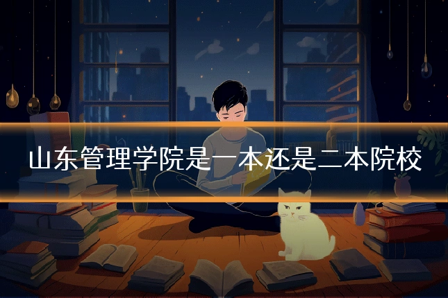 山东管理学院是一本还是二本院校