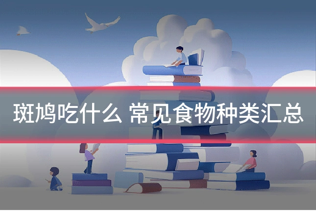 斑鸠吃什么 常见食物种类汇总