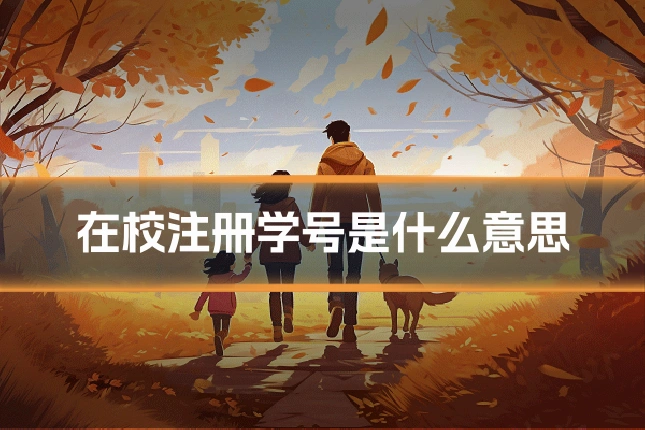 在校注册学号是什么意思