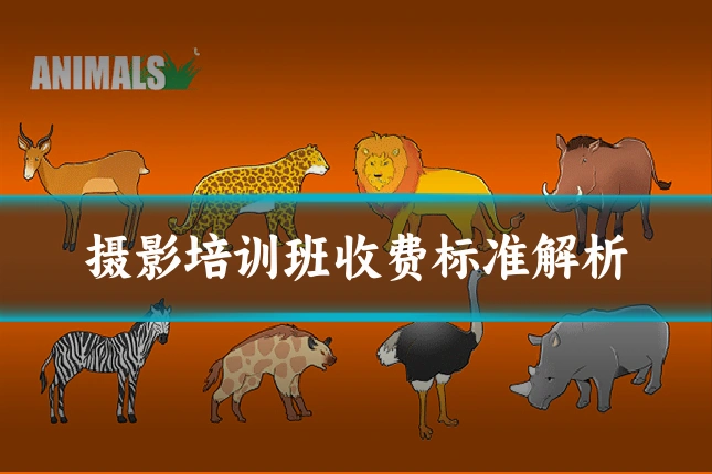 摄影培训班收费标准解析