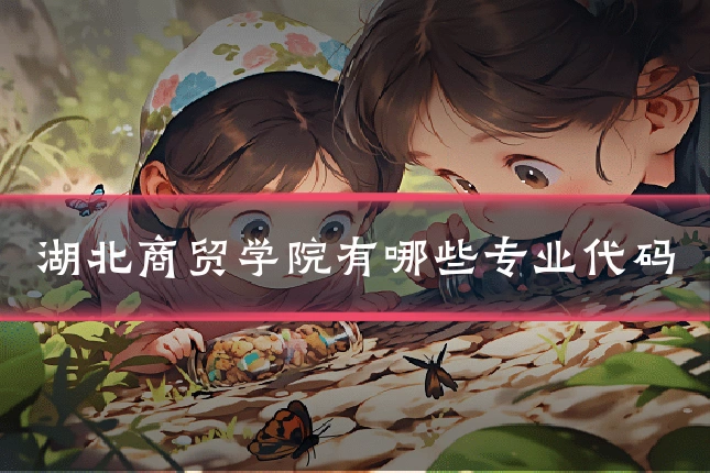 湖北商贸学院有哪些专业代码