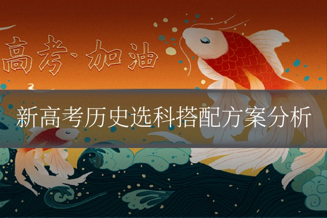 新高考历史选科搭配方案分析
