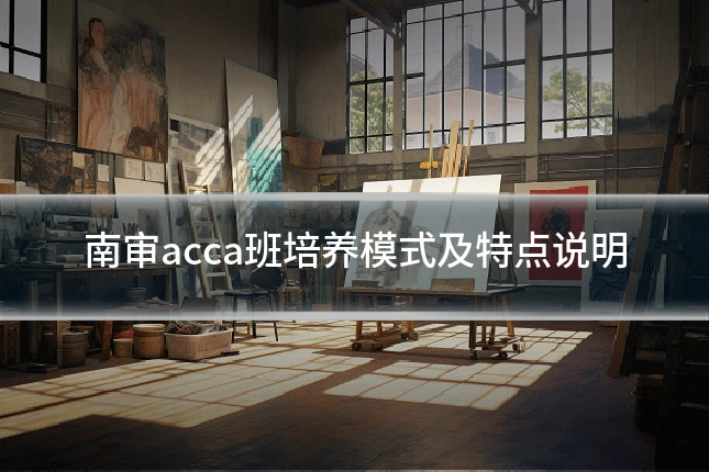 南审acca班培养模式及特点说明