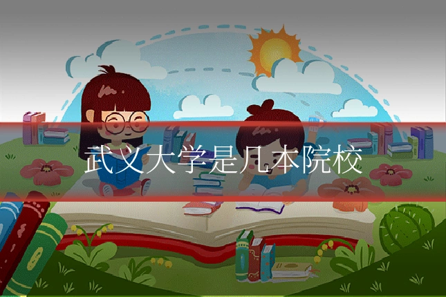 武义大学是几本院校