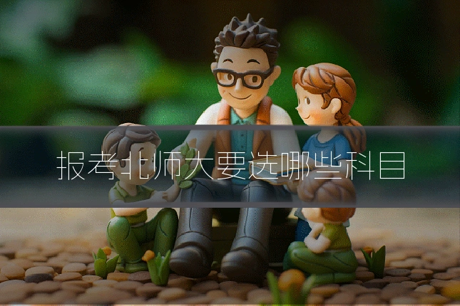 报考北师大要选哪些科目