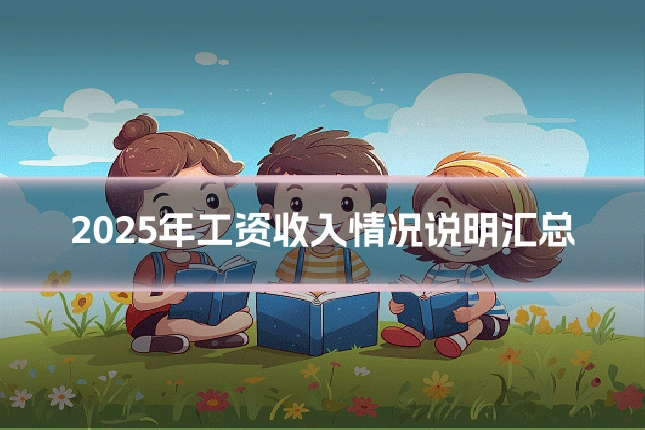 2025年工资收入情况说明汇总