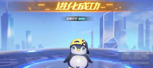 QQ飞车手游仔仔宠物详细攻略技巧
