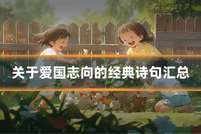 关于爱国志向的经典诗句汇总
