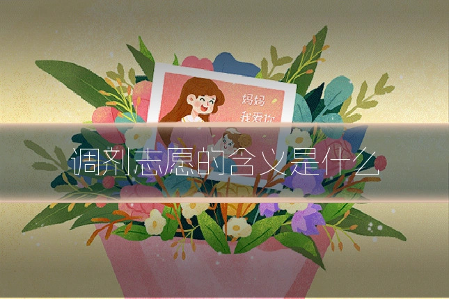 调剂志愿的含义是什么