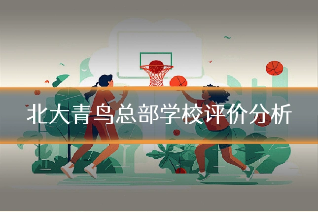 北大青鸟总部学校评价分析