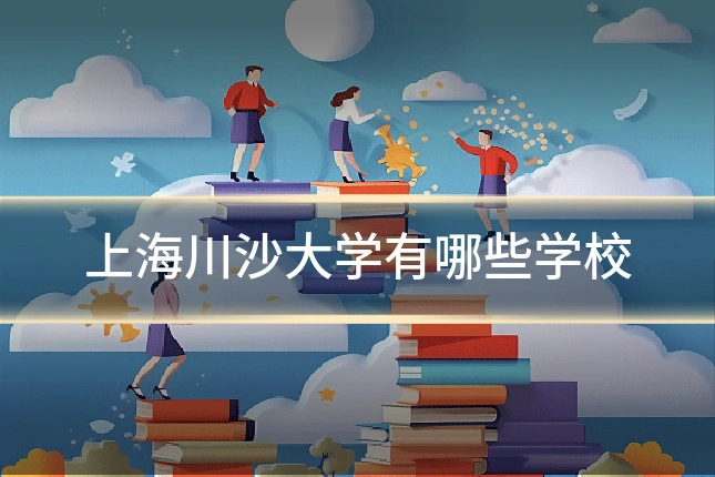 上海川沙大学有哪些学校