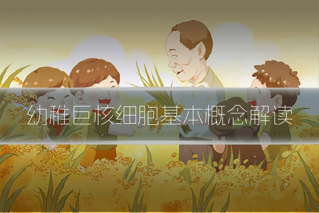 幼稚巨核细胞基本概念解读
